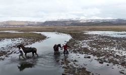 Atlı Gezinti Suya Dönüştü
