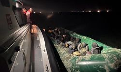 Aydın'da 18 yasadışı göçmen ele geçirildi