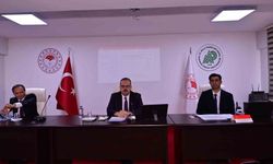 Aydın'da sahipsiz hayvanlar için yürütülen çalışmalar değerlendirildi