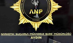 Aydın'da uyuşturucu baskını: 1 kişi tutuklandı