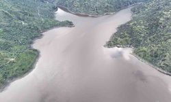 Aydın'da Yağışlar Barajları Canlandırdı