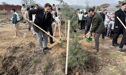 Ayvacık'ta 1500 Fidan Toprakla Buluştu