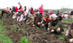 Bafra'da küçük eller 3 bin fidanı toprakla buluşturdu