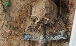 Bahçede gerçekleştirilen kazıda insan kafatası ve iskelet kalıntıları tespit edildi