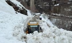 Bahçesaray'da Yolda Çığ Tehlikesi