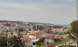 Baklan'da Milyonlarca Yıllık Deniz Yıldızı Fosili Keşfedildi