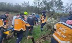 Balıkesir'de Kontrolden Çıkan Araç Zeytinlikte Kaza Yaptı: 1 Yaralı