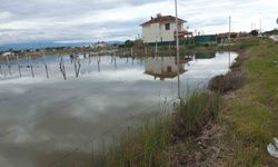 Balıkesir'de Yazlıklar Sular Altında Kaldı
