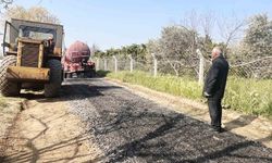 Başkan Yıldırımkaya: 'Faaliyetlerimiz durmaksızın devam ediyor'