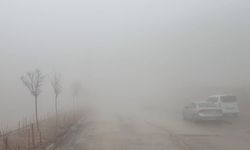 Besni'de Yoğun Yağmur ve Sis Hava Koşulları Etkili Oldu