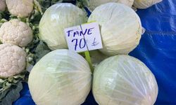 Beyaz Lahanada Hem Üretici Hem Tüketici Zarar Ediyor