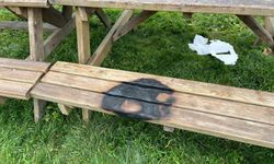 Bilecik'te Kamu Alanlarına Yönelik Tahribat Tepkileri Artıyor