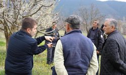 Bilecik'te Tarım Üreticilerine Budama ve Gübreleme Eğitimi Verildi