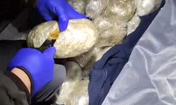 Bitlis'te 4,8 kilogram skunk bulundu