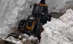 Bitlis'te Heyelan ve Çığ Olayları Gerçekleşti