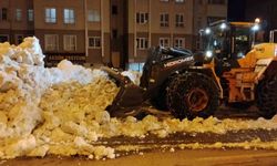 Bitlis'te Kaldırımlardaki Karlara Kamyonlarla Müdahale Ediliyor