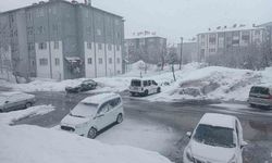 Bitlis'te Mart ayında kar sürprizi