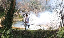 Bozdoğan Belediyesi, haşerelere karşı ilaçlama çalışmalarını sürdürüyor