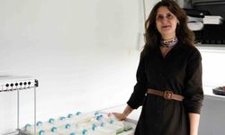 BŞEÜ, akademik alanda kayda değer bir başarıya imza attı