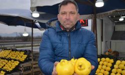 Bu Yıl Ayva Üretimi Düşünce Fiyatlar Yükseldi