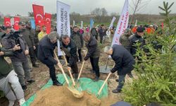 Bursa'da 2 Yıl Önceki Yangından Etkilenen 80 Hektarlık Alan Yeniden Ağaçlandırıldı