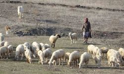 Bursa'da bıçakla boğazından öldürülen kadının eski görüntüleri gün yüzüne çıktı
