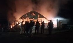 Bursa'da çiftlikte çıkan yangın: 580 kanatlı hayvan hayatını kaybetti