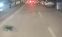 Bursa'da 'dur' çağrısına uymayan motosiklet sürücüsü yakalandı: 200 bin TL ceza