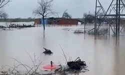 Bursa'da Şiddetli Yağışlar: Tarlalar Sular Altında Kalırken, Hayvanlar Mahsur Kaldı