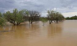 Büyük Menderes Nehri'ndeki Taşkın Tarım Arazilerini Vurdu