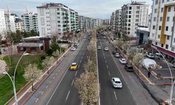 Caddeler Süs Armutlarıyla Görsel Bir Festivale Dönüştü