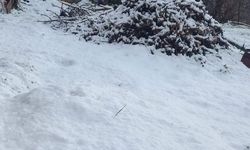 Çameli'de kar kalınlığı 20 santimetreye ulaştı