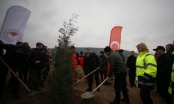 Çanakkale'de 21 Mart Dünya Ormancılık Günü'nde 5 bin fidan toprakla buluştu