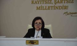 CHP'li Meclis Üyesi Nevin Tan, Komisyon Görevlerinden Ayrıldı