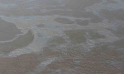 Cizre'de boru hattındaki sızıntı, Dicle Nehri'ni kirletti; ekipler sorunu çözdü