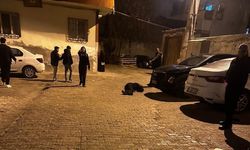 Cizre'de silahlı saldırgan yakalandı