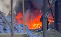 Çöp kutularında meydana gelen yangın paniğe neden oldu