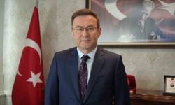 Cumhurbaşkanı Erdoğan'ın ödül verdiği Kaymakam Demirelli: 'İdareci mazeret değil, çözüm üretmelidir'