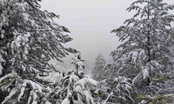 Demirci'nin Yüksek Bölgelerinde Kar Yağışı Etkisini Gösteriyor