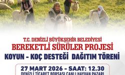 Denizli Büyükşehir, 582 çiftçiye 1200 koyun ve koç teslim edecek
