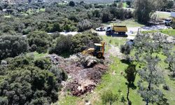 Didim Belediyesi'nden Temizlik Faaliyetleri Devam Ediyor