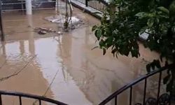 Didim'de Yoğun Yağışlar Hayatı Olumsuz Etkiledi