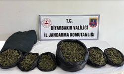 Diyarbakır'da 129 kilo uyuşturucu ve hap yakalandı: 21 kişi hakkında yasal işlem başlatıldı