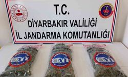 Diyarbakır'da 25 Kilogram Esrar Yakalandı