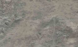 Diyarbakır'da nesli tehlikede olan dağ keçileri sürü halinde görüntülendi