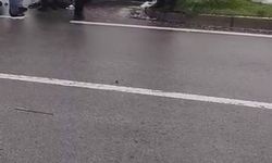 Diyarbakır'da trafik kazası: Araç refüje çarparak durdu