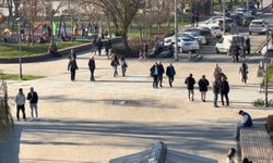 Domuz Gribi Vakaları Artış Gösteriyor