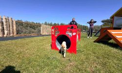 Duacı Mahallesi'nde Köpek Parkı Açılışı Gerçekleşti