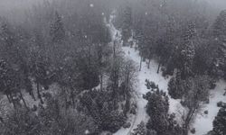 Düzce'nin Yüksek Bölgelerinde Kar Kalınlığı 1 Metreyi Geçti