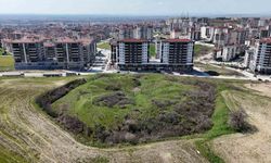 Edirne'deki Tarihi Tabyalar Tehlike Altında